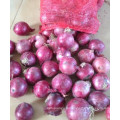 all year supply fresh red onion 4 - 10 cm shandong